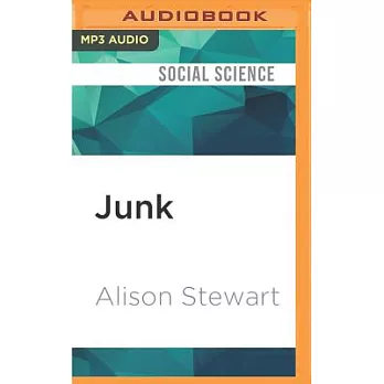 Junk: Digging Through America’s Love Affair With Stuff