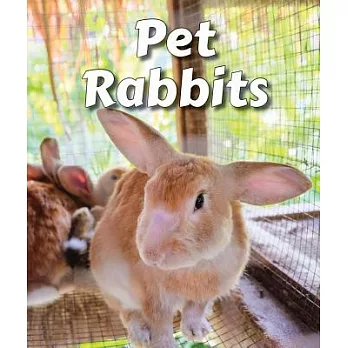 Pet Rabbits