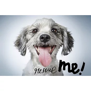 Rescue Me!: Dog Adoption Portraits and Stories from New York City