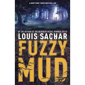 Fuzzy Mud