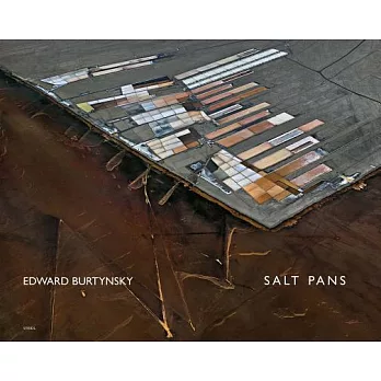 Edward Burtynsky: Salt Pans; Little Rann of Kutch, Gujarat, India