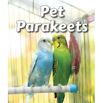 Pet Parakeets