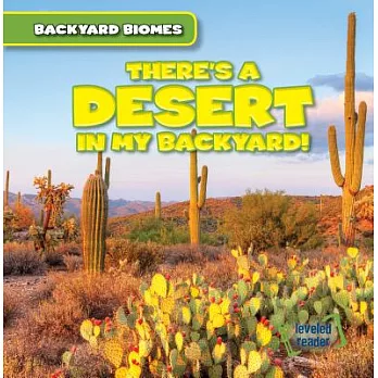 There’s a Desert in My Backyard!