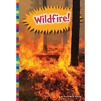 Wildfire! /