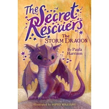 The secret rescuers 1:The storm Dragon