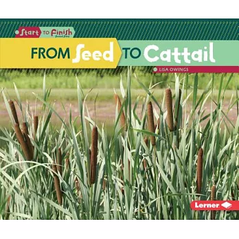From Seed to Cattail. /