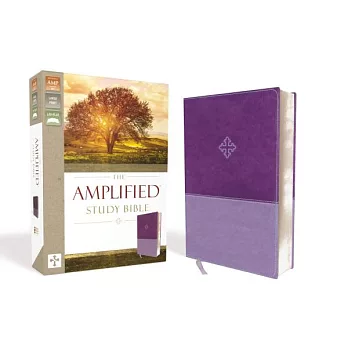 Amplified Study Bible, Imitation Leather, Purple