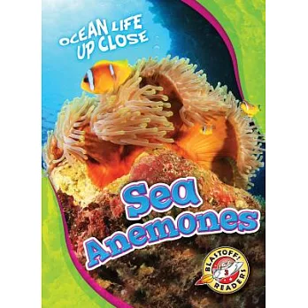 Sea anemones /