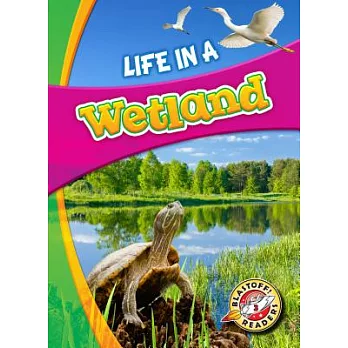 Life in a wetland /