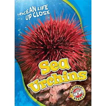 Sea urchins /