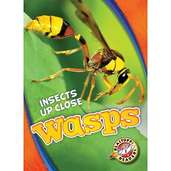 Wasps /