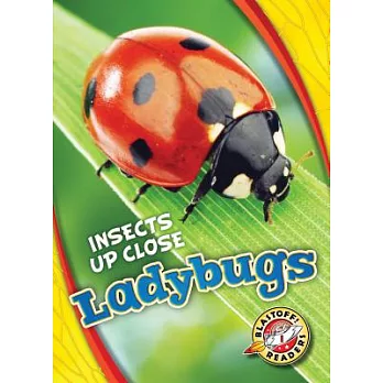 Ladybugs /