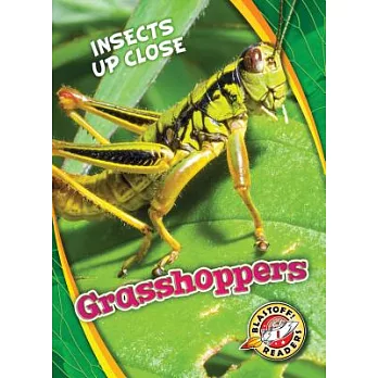 Grasshoppers /