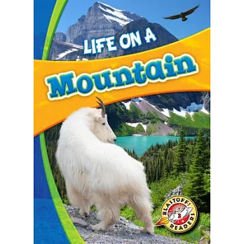 Life on a mountain /