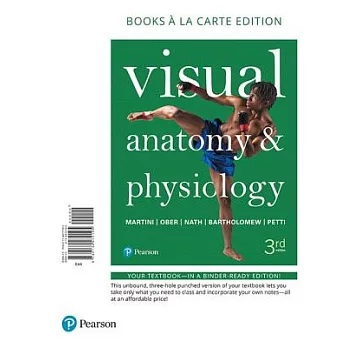 Visual Anatomy & Physiology