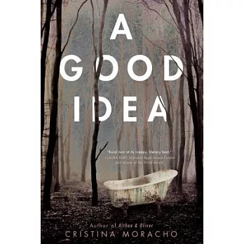 A good idea /
