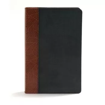 Rainbow Study Bible: Christian Standard Rainbow Study Bible, Black/Tan, Leathertouch