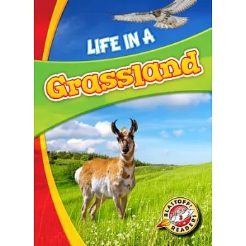 Life in a grassland /