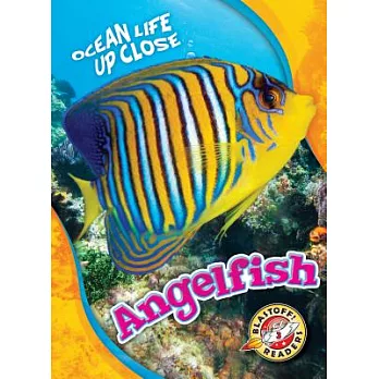 Angelfish /