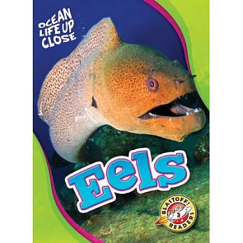 Eels /