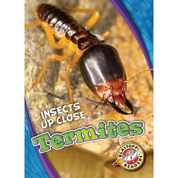 Termites /