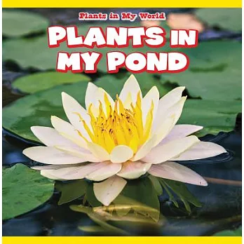 Plants in my pond /