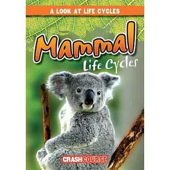 Mammal Life cycles /