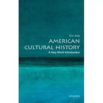 American cultural history : a very short introduction /