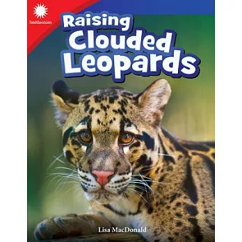 Raising clouded leopards