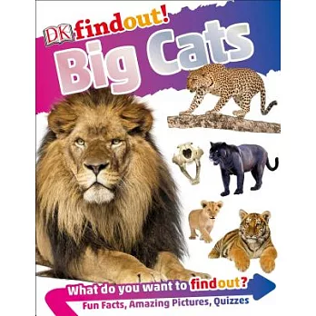 Dkfindout! Big Cats