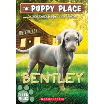 The puppy place. 53, Bentley