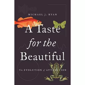 A Taste for the Beautiful: The Evolution of Attraction