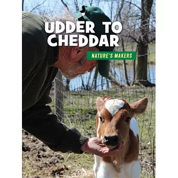 Udder to cheddar /