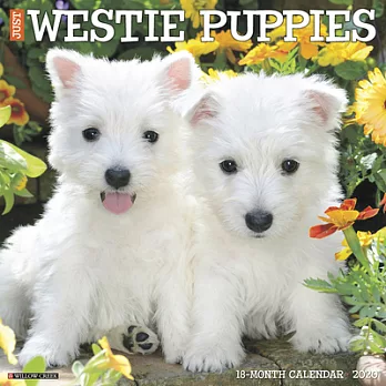 Just Westie Puppies 2020 Calendar