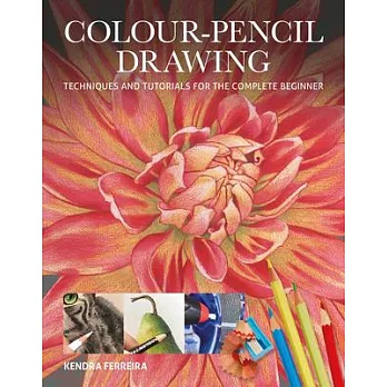 Colour-Pencil Drawing: Techniques and Tutorials for the Complete Beginner