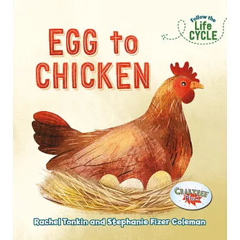 Egg to chicken /