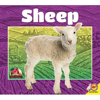 Sheep