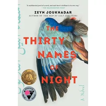 The Thirty Names of Night