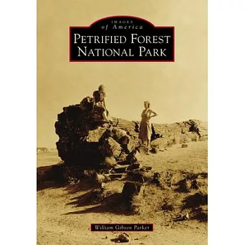 Petrified Forest National Park