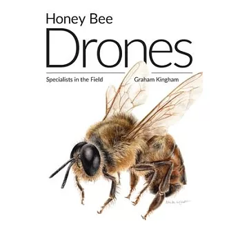 Honey Bee Drones: Specialists in the Field