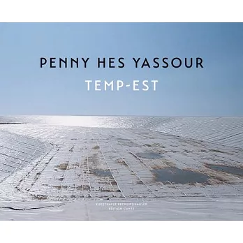 Penny Hes Yassour: Temp-Est