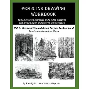 Pen and Ink Drawing Workbook Vol 5: Learn to Draw Pleasing Pen & Ink Landscapes