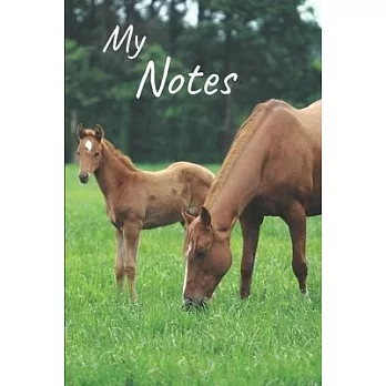 My notes: Foal Notebook, Horse - Size 6＂ x 9＂, 100 Pages - Trend and Original - Convenient to rate Ideas