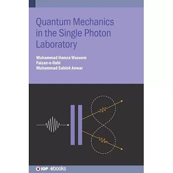 Quantum Mechanics in the Single Photon Laboratory