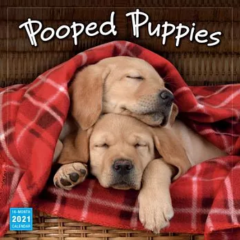 2021 Pooped Puppies 16-Month Wall Calendar