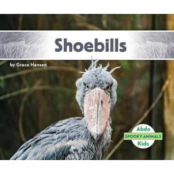 Shoebills /