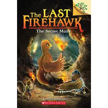 The Secret Maze: A Branches Book (the Last Firehawk #10), Volume 10