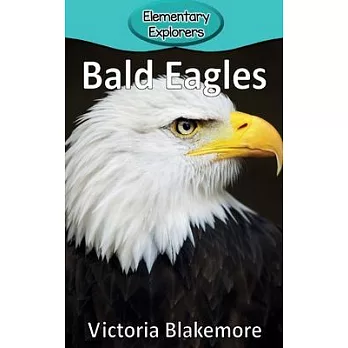 Bald Eagles