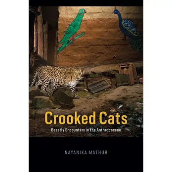 Crooked cats : beastly encounters in the Anthropocene