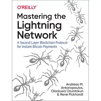 Mastering the Lightning Network: A Second Layer Blockchain Protocol for Instant Bitcoin Payments